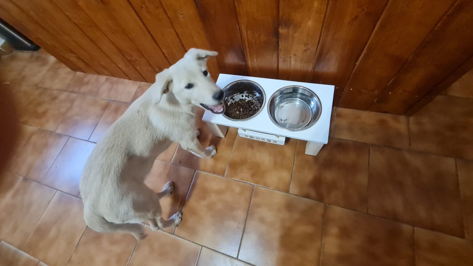 Jak se vyrábí takový žrádelník
